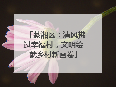 蒸湘区：清风拂过幸福村，文明绘就乡村新画卷