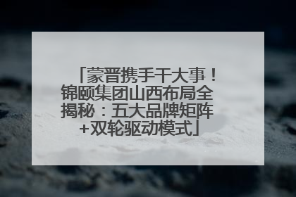 蒙晋携手干大事！锦颐集团山西布局全揭秘：五大品牌矩阵+双轮驱动模式