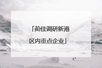 蔺佳调研新港区内重点企业