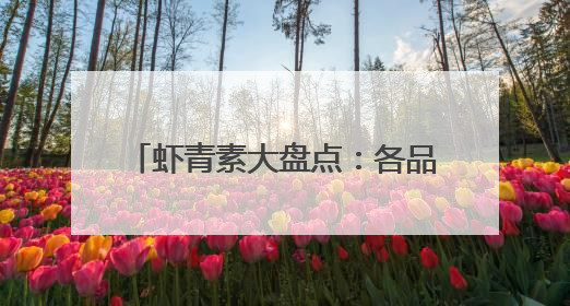 虾青素大盘点：各品牌特色与优势一览