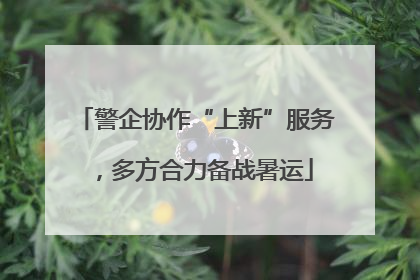 警企协作“上新”服务，多方合力备战暑运