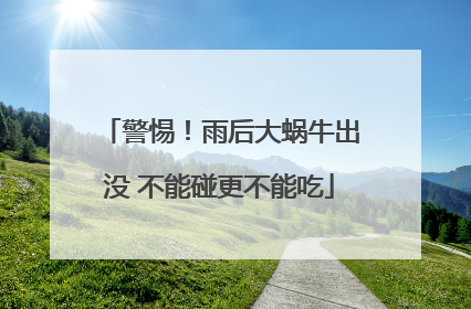 警惕！雨后大蜗牛出没 不能碰更不能吃