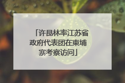 许昆林率江苏省政府代表团在柬埔寨考察访问