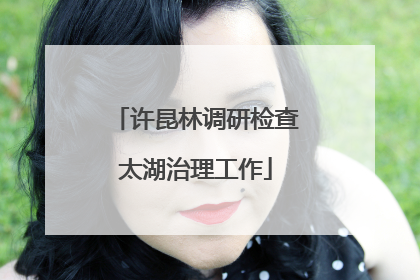 许昆林调研检查太湖治理工作