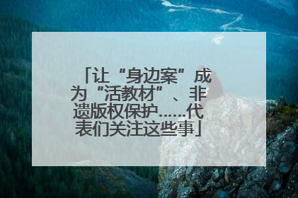 让“身边案”成为“活教材”、非遗版权保护……代表们关注这些事