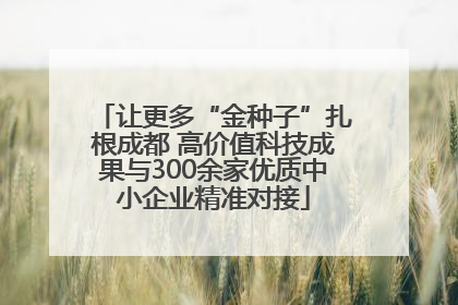 让更多“金种子”扎根成都 高价值科技成果与300余家优质中小企业精准对接