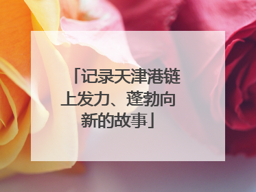 记录天津港链上发力、蓬勃向新的故事