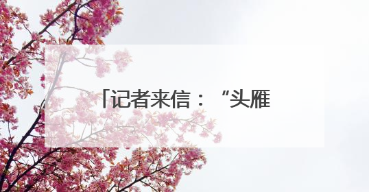 记者来信：“头雁”是这样炼成的
