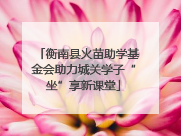 衡南县火苗助学基金会助力城关学子“坐”享新课堂