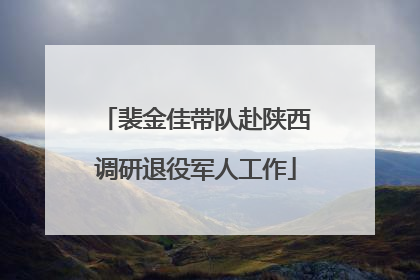 裴金佳带队赴陕西调研退役军人工作