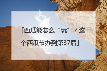 西瓜能怎么“玩”？这个西瓜节办到第37届