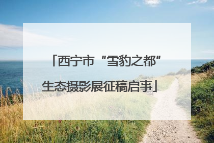 西宁市“雪豹之都”生态摄影展征稿启事