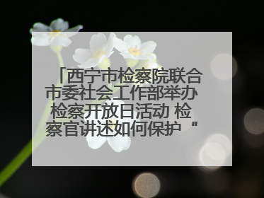 西宁市检察院联合市委社会工作部举办检察开放日活动 检察官讲述如何保护“少年的你”