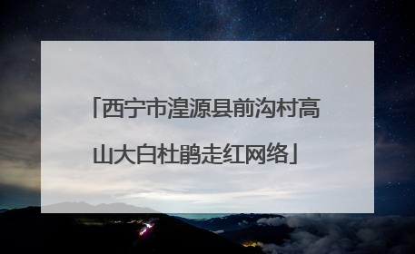 西宁市湟源县前沟村高山大白杜鹃走红网络