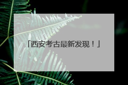 西安考古最新发现！