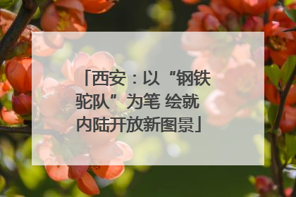 西安：以“钢铁驼队”为笔 绘就内陆开放新图景