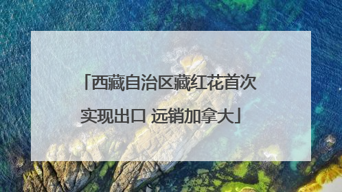 西藏自治区藏红花首次实现出口 远销加拿大