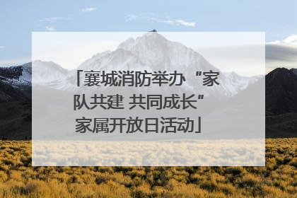 襄城消防举办“家队共建 共同成长”家属开放日活动