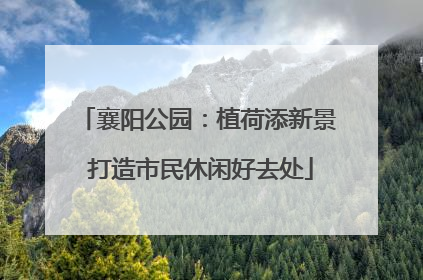 襄阳公园：植荷添新景 打造市民休闲好去处