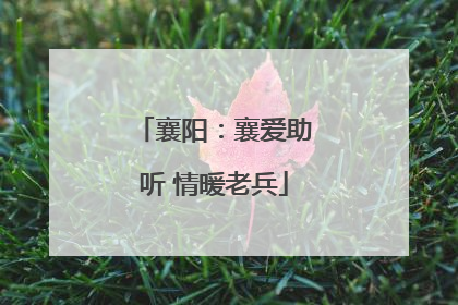 襄阳：襄爱助听 情暖老兵