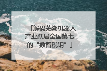 解码芜湖机器人产业跃居全国第七的“数智税钥”