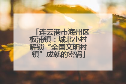 连云港市海州区板浦镇：城北小村解锁“全国文明村镇”成就的密码