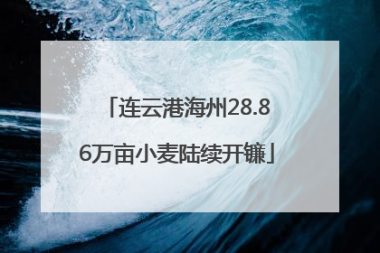 连云港海州28.86万亩小麦陆续开镰