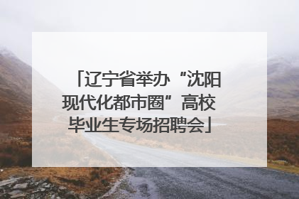 辽宁省举办“沈阳现代化都市圈”高校毕业生专场招聘会