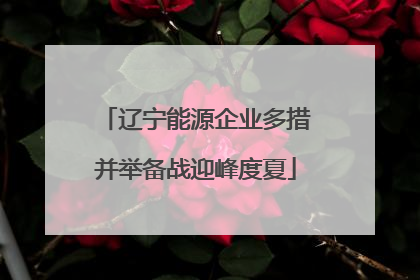 辽宁能源企业多措并举备战迎峰度夏