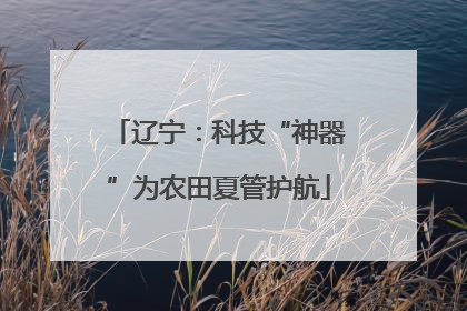 辽宁：科技“神器”为农田夏管护航