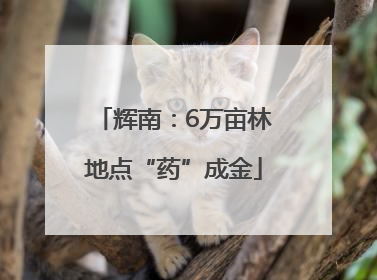 辉南：6万亩林地点“药”成金