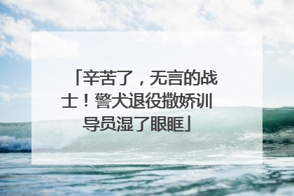 辛苦了，无言的战士！警犬退役撒娇训导员湿了眼眶