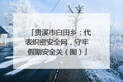 贵溪市白田乡：代表织密安全网，守牢假期安全关（图）