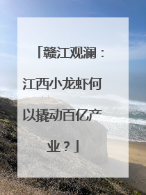 赣江观澜：江西小龙虾何以撬动百亿产业？