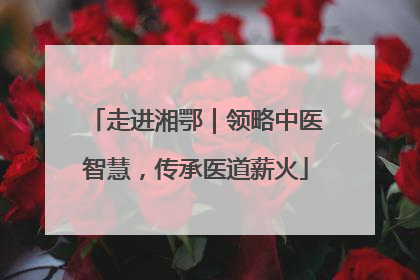 走进湘鄂｜领略中医智慧，传承医道薪火