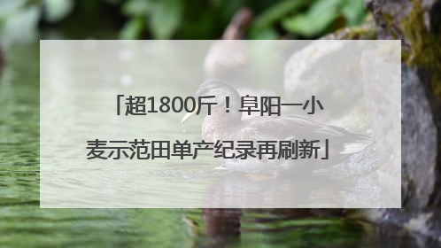 超1800斤！阜阳一小麦示范田单产纪录再刷新