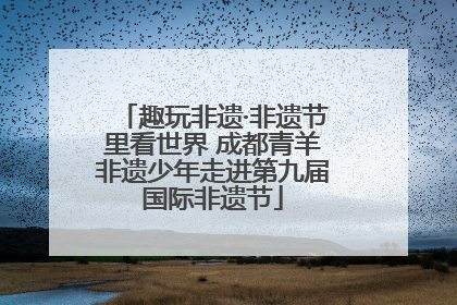 趣玩非遗·非遗节里看世界 成都青羊非遗少年走进第九届国际非遗节
