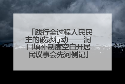 践行全过程人民民主的破冰行动——洞口填补制度空白开居民议事会先河侧记