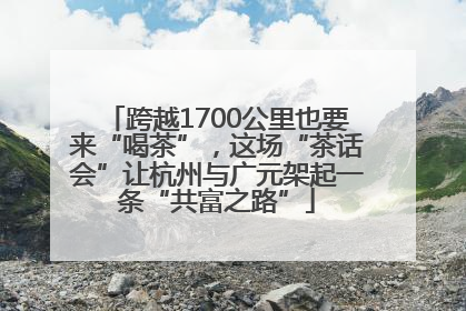 跨越1700公里也要来“喝茶”，这场“茶话会”让杭州与广元架起一条“共富之路”