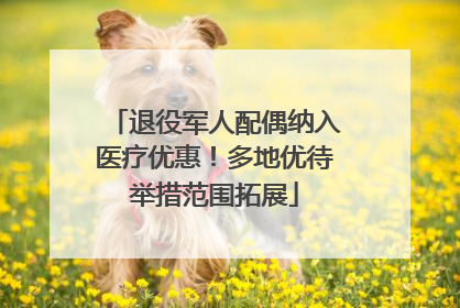 退役军人配偶纳入医疗优惠！多地优待举措范围拓展