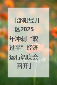 邵阳经开区2025年冲刺“双过半”经济运行调度会召开