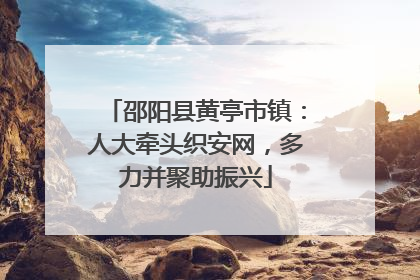 邵阳县黄亭市镇：人大牵头织安网，多力并聚助振兴