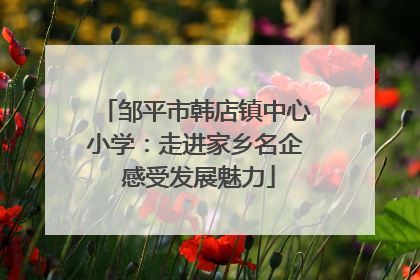 邹平市韩店镇中心小学：走进家乡名企 感受发展魅力