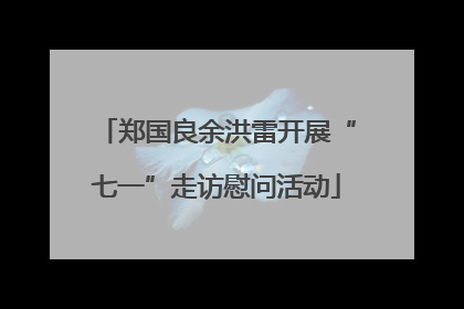 郑国良余洪雷开展“七一”走访慰问活动