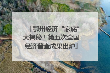鄂州经济“家底”大揭秘！第五次全国经济普查成果出炉