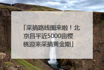 采摘路线图来啦！北京昌平近5000亩樱桃迎来采摘黄金期