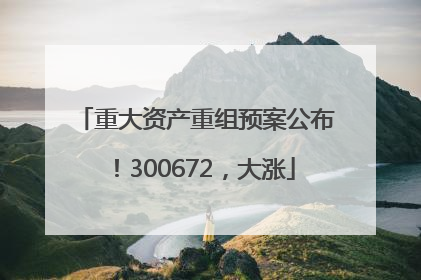 重大资产重组预案公布！300672，大涨