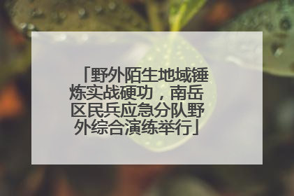 野外陌生地域锤炼实战硬功，南岳区民兵应急分队野外综合演练举行