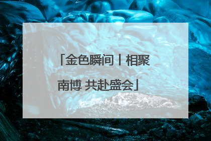 金色瞬间丨相聚南博 共赴盛会