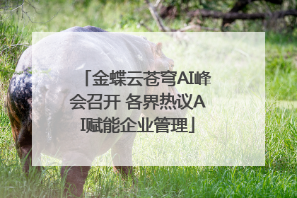 金蝶云苍穹AI峰会召开 各界热议AI赋能企业管理